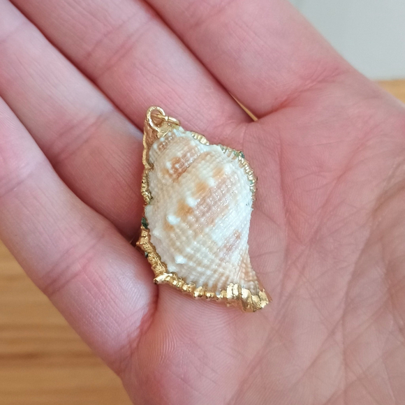 Unbranded Jewelry - Natural Conch Seashell Pendant Gold Accented Nautical Ocean
